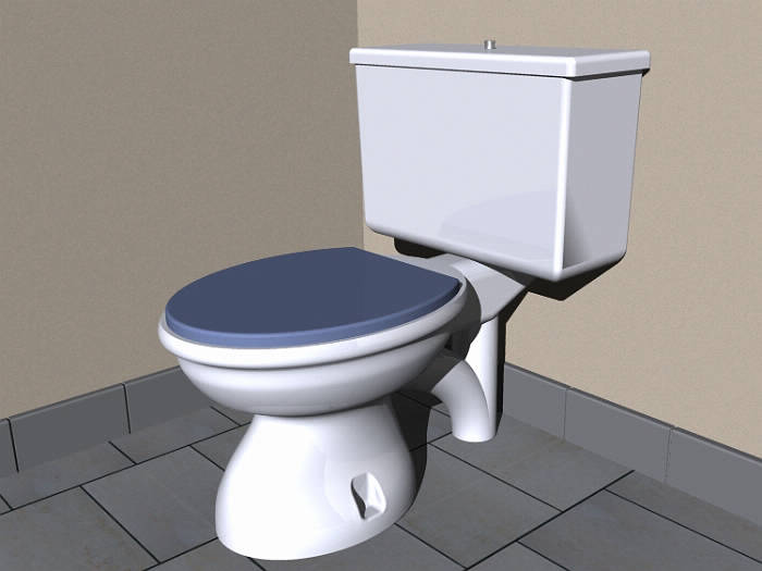 Vue 3D WC